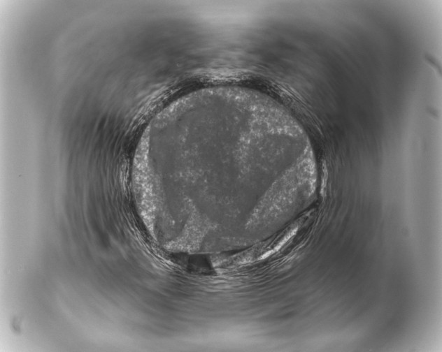 X0000100211300200806271655