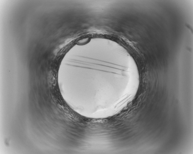 X0000100211303200806271655