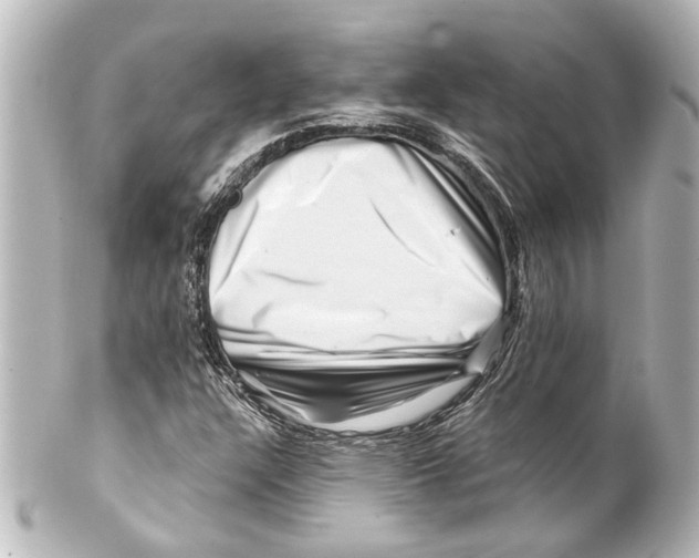 X0000100211304200806271655
