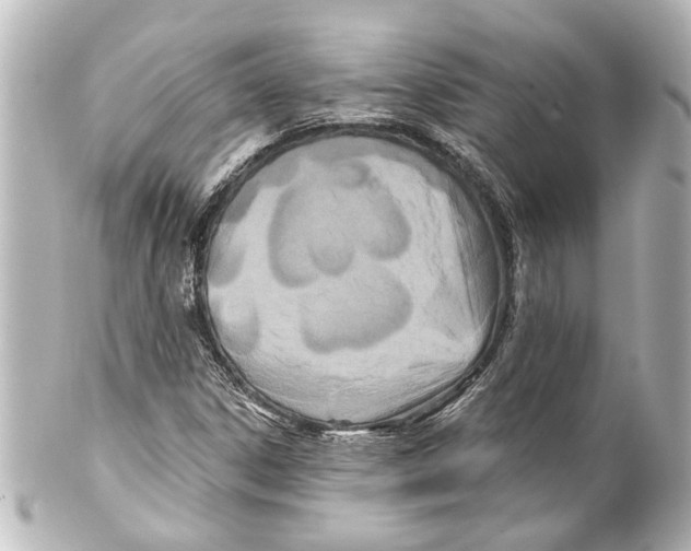 X0000100211306200806271655