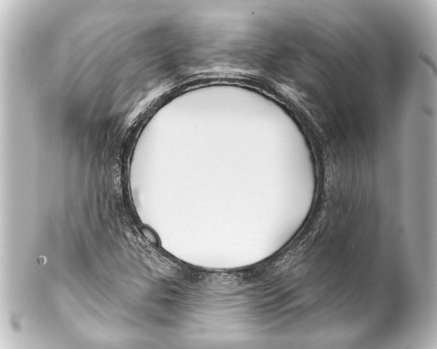 X0000100211307200806271655