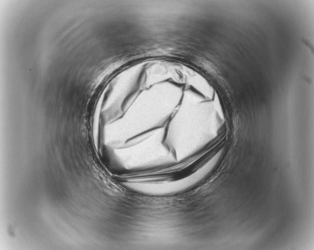 X0000100211308200806271655