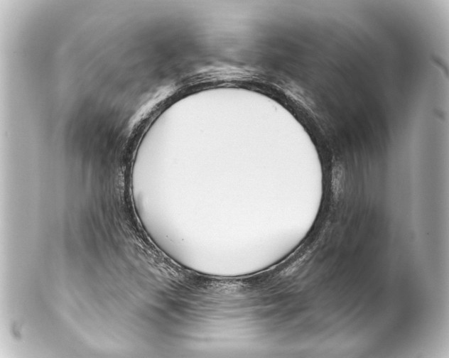 X0000100211309200806271655