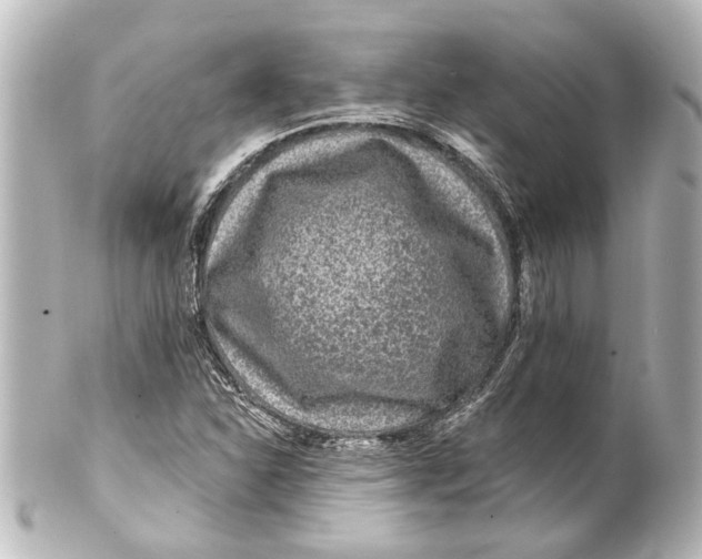 X0000100211310200806271655