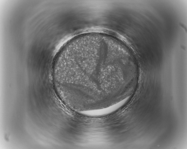X0000100211312200806271655