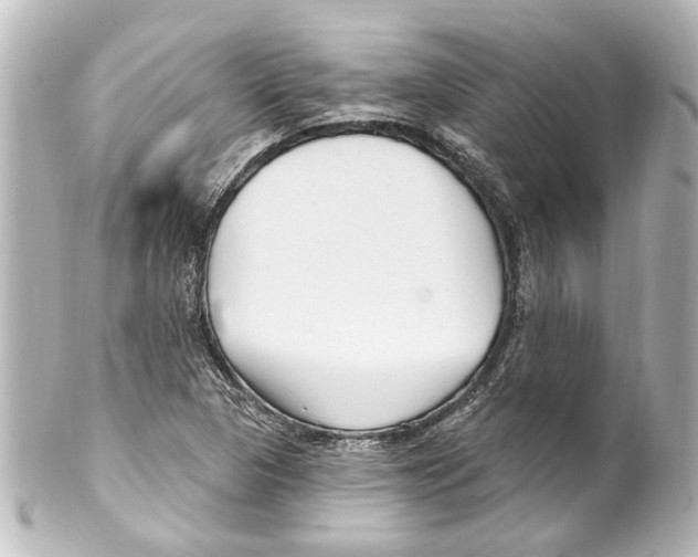 X0000100211313200806271655