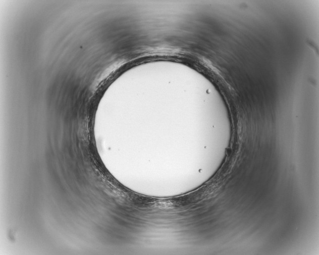 X0000100211315200806271655