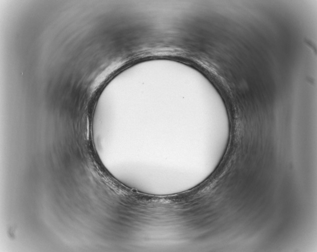 X0000100211317200806271655