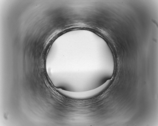 X0000100211318200806271655