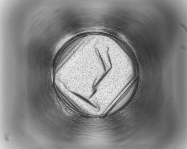 X0000100211320200806271655