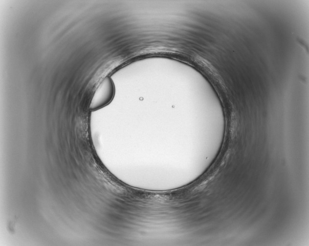 X0000100211321200806271655