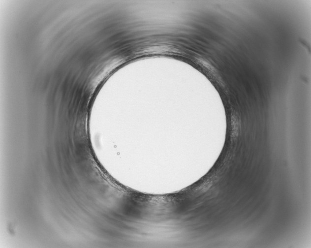 X0000100211322200806271655