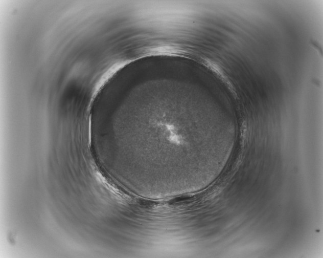 X0000100211323200806271655