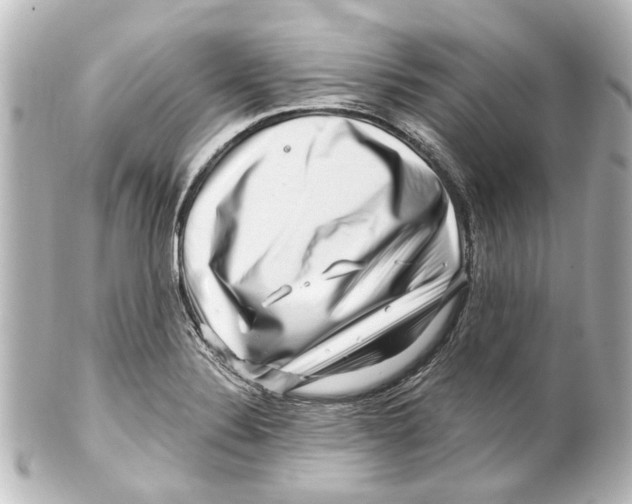 X0000100211324200806271655