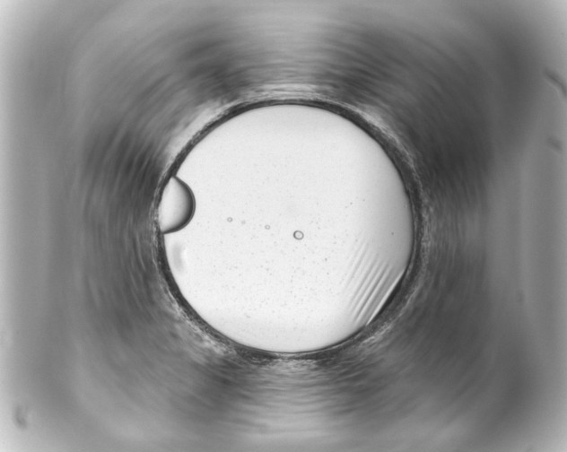 X0000100211325200806271655