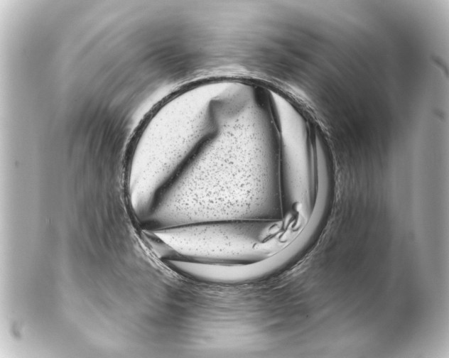 X0000100211326200806271655