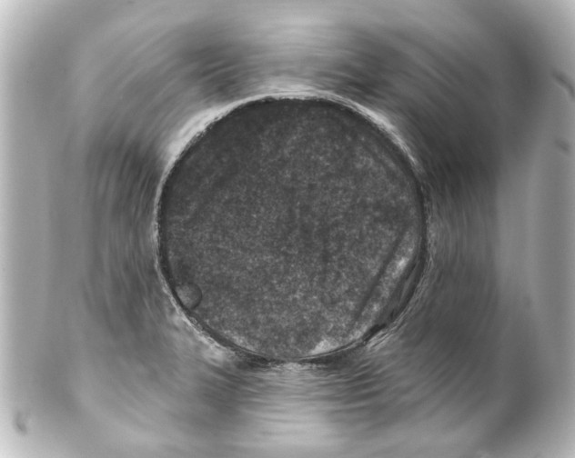 X0000100211327200806271655