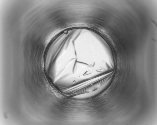 X0000100211328200806271655
