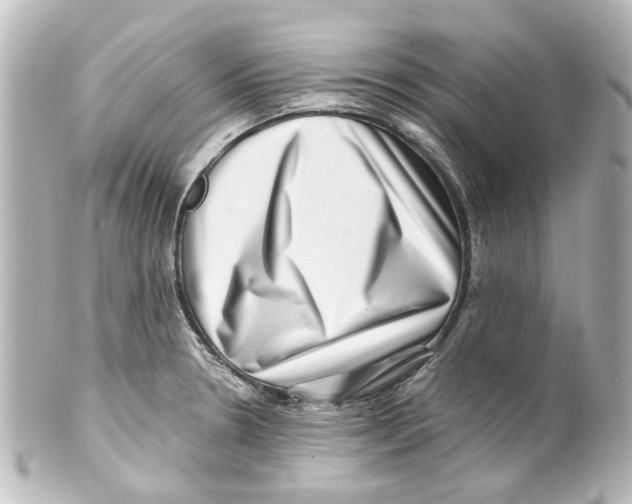 X0000100211330200806271655