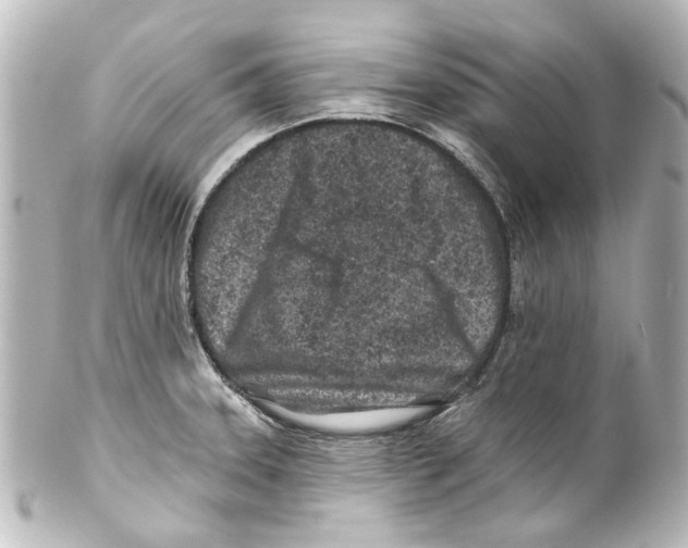 X0000100211331200806271655