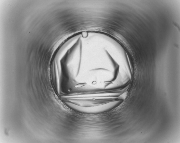 X0000100211332200806271655