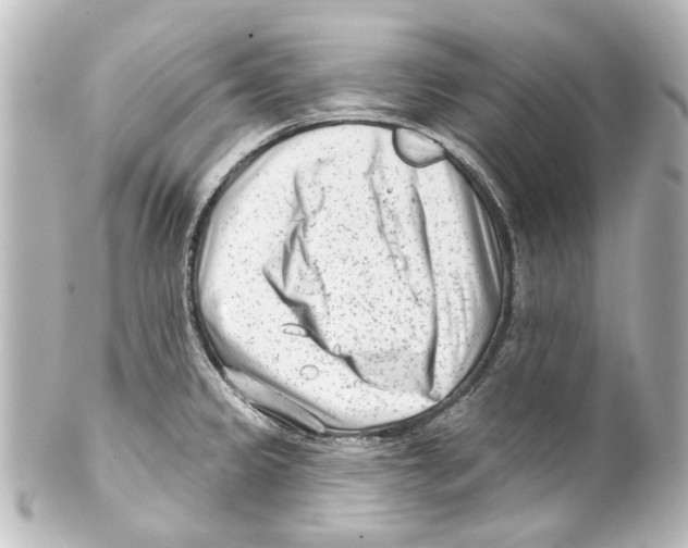 X0000100211333200806271655