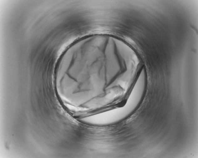 X0000100211334200806271655