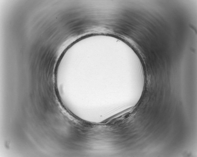 X0000100211335200806271655