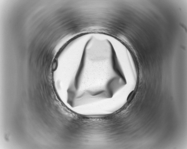 X0000100211336200806271655
