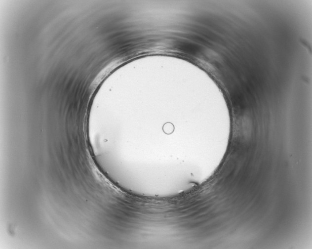 X0000100211338200806271655
