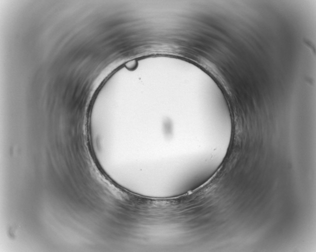 X0000100211339200806271655