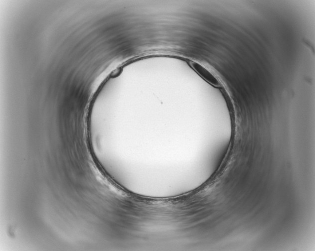 X0000100211341200806271656