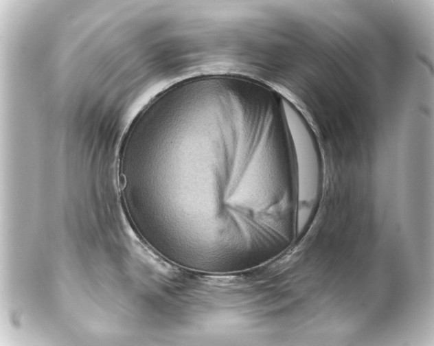 X0000100211342200806271656