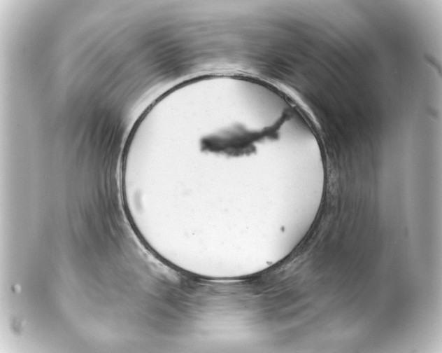 X0000100211343200806271656