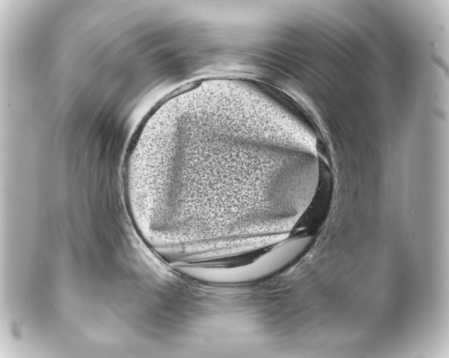 X0000100211344200806271656