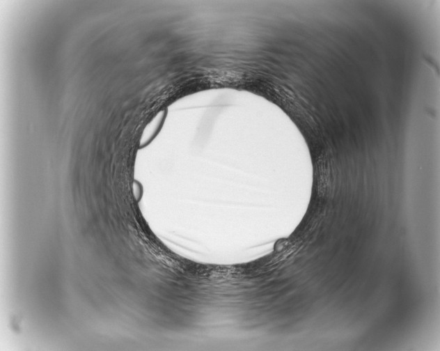 X0000100211345200806271655