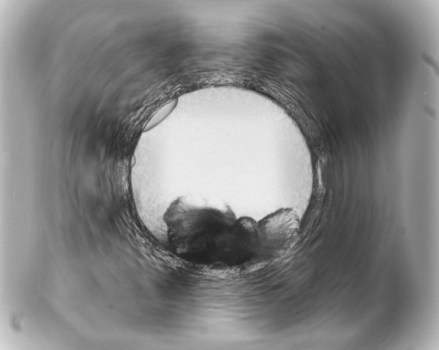 X0000100211347200806271655