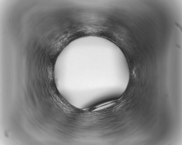 X0000100211348200806271655