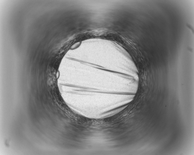 X0000100211349200806271655