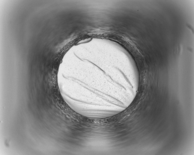 X0000100211350200806271655