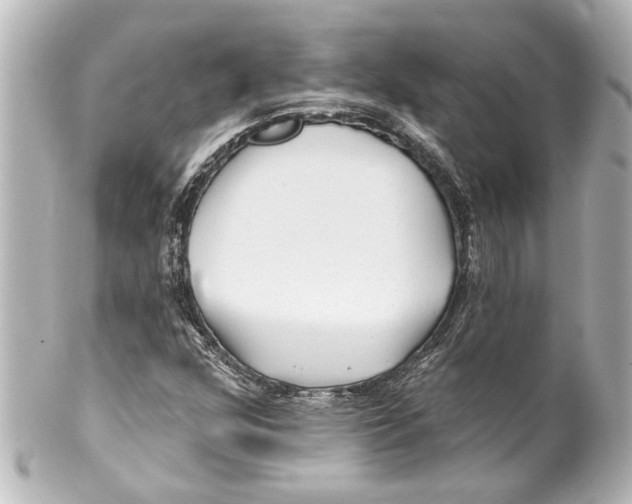 X0000100211352200806271655