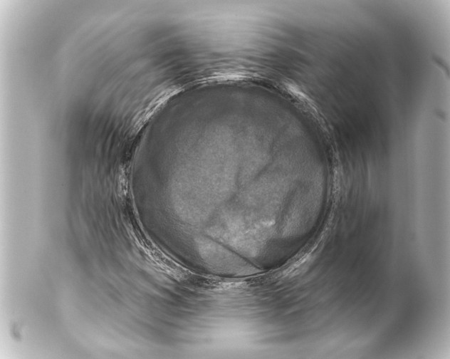 X0000100211353200806271655