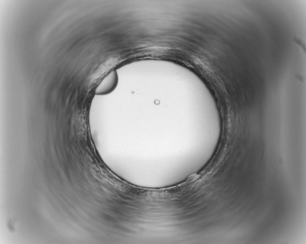 X0000100211354200806271655