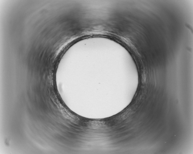 X0000100211356200806271655