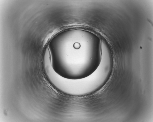 X0000100211357200806271655