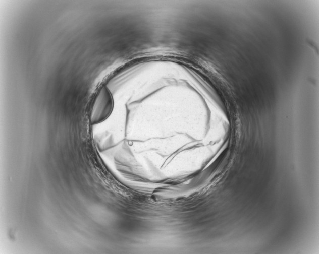 X0000100211358200806271655