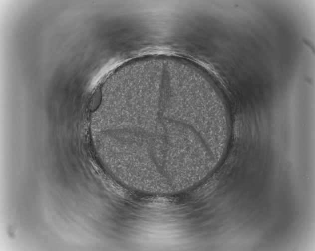 X0000100211359200806271655