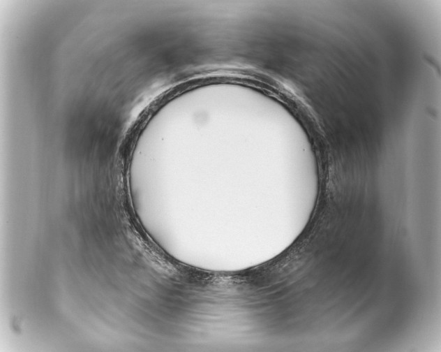 X0000100211360200806271654