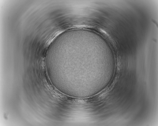 X0000100211361200806271654