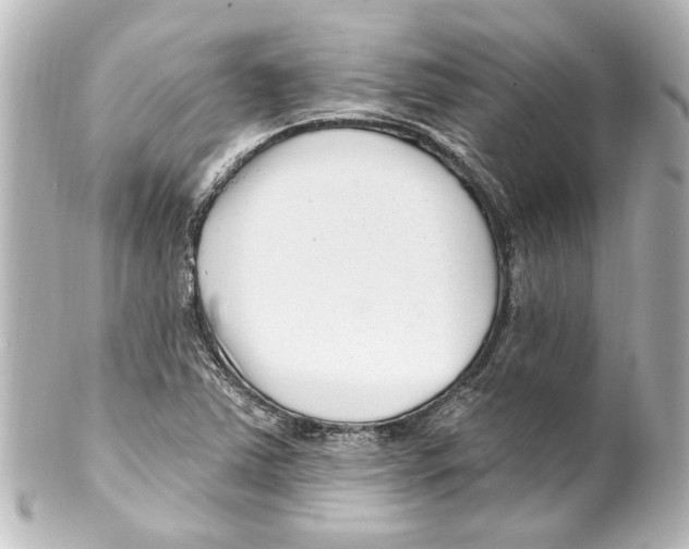 X0000100211363200806271654